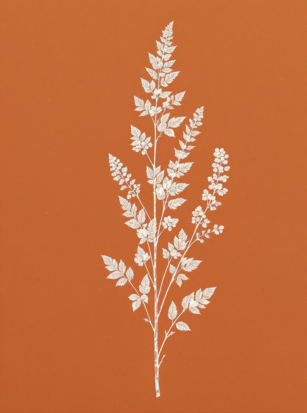 White Botanical Branch Terracotta
