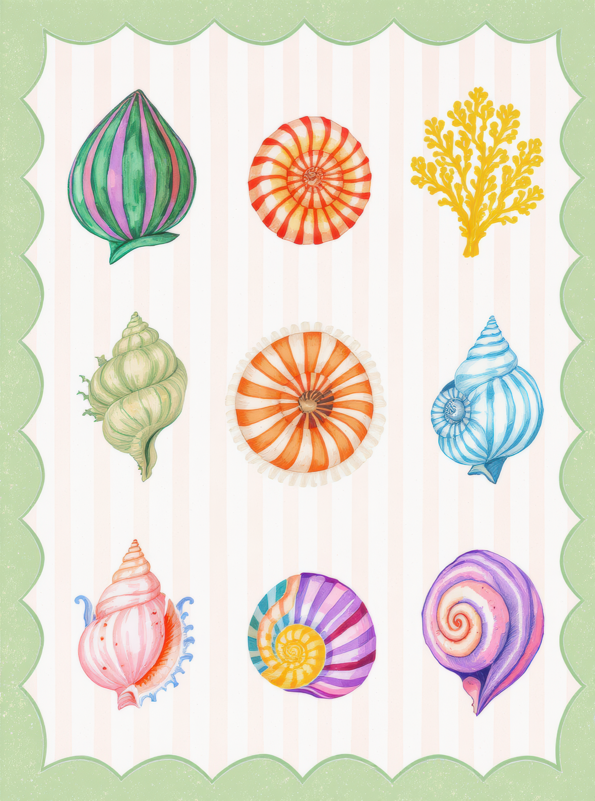 Colorful Seashells