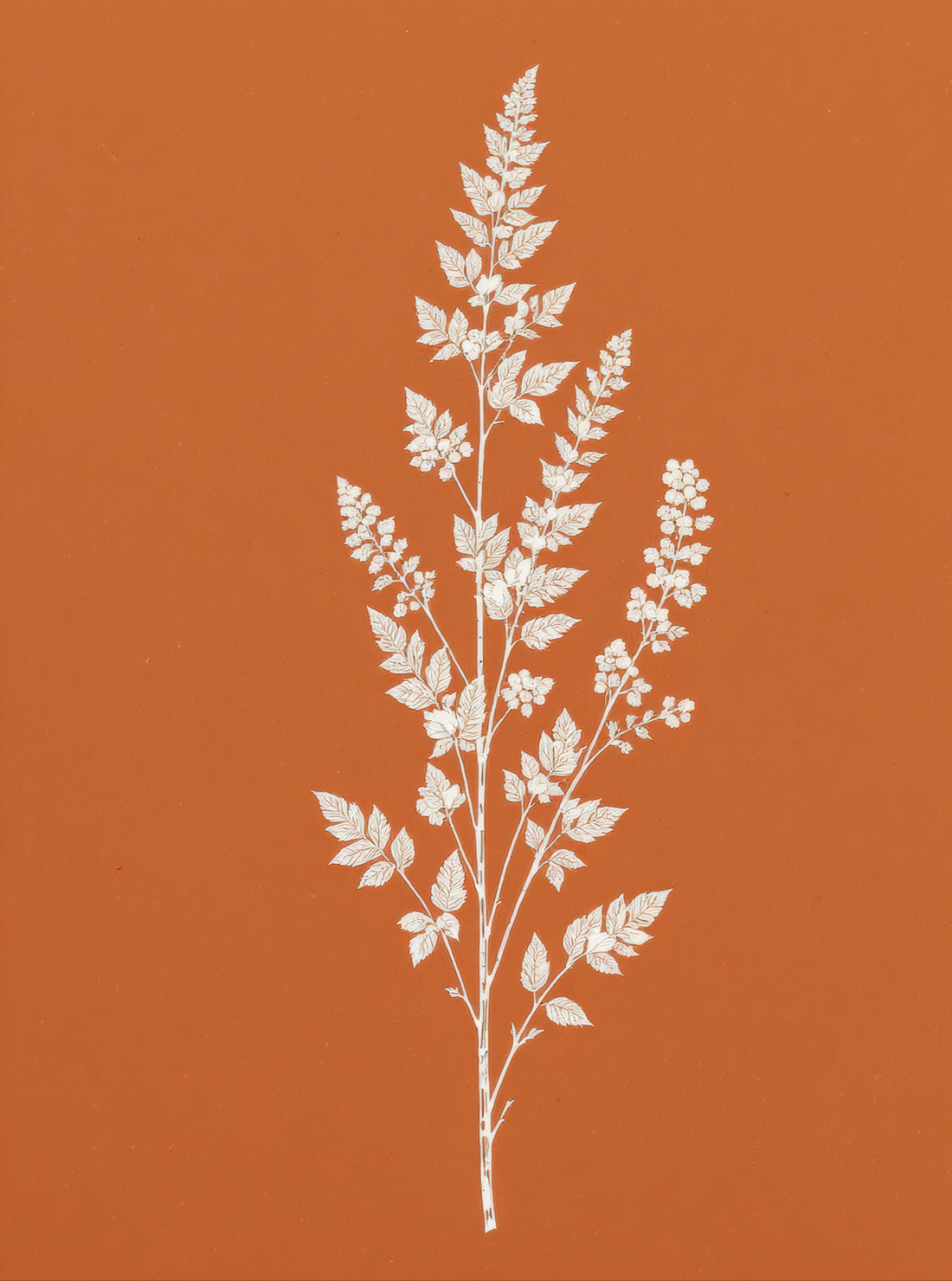 White Botanical Branch Terracotta